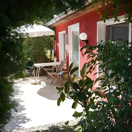 Haus Mit Kunst *
